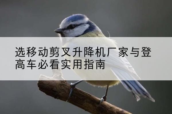富顺电动升降机厂家-选移动剪叉升降机厂家与登高车必看实用指南