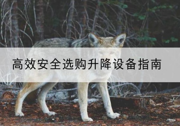 富顺升降货梯厂家推荐-*安全选购升降设备指南